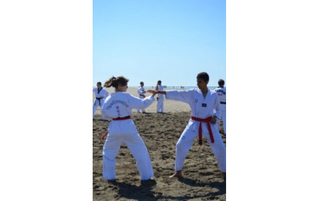 Résultats examen 1ere Dan